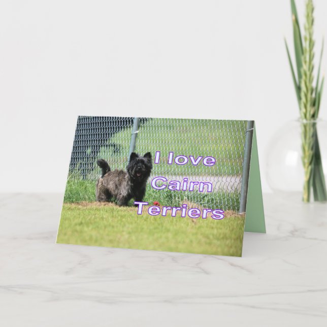 Tarjeta Cairn (Anverso)