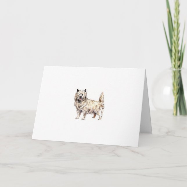 Tarjeta Cairn Terrier (Anverso)