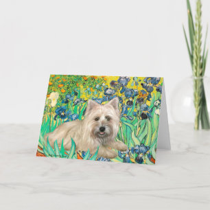 Tarjeta Cairn Terrier 4 - Irlandeses