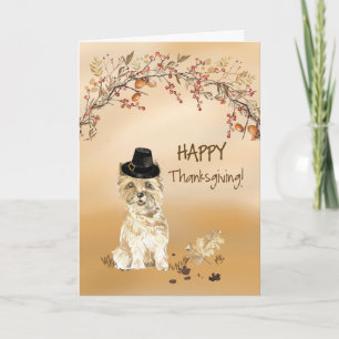 Tarjeta Cairn Terrier Gorra de Acción de Gracias