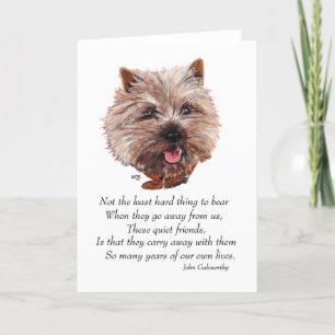Tarjeta Cairn Terrier Puente del Arcoíris
