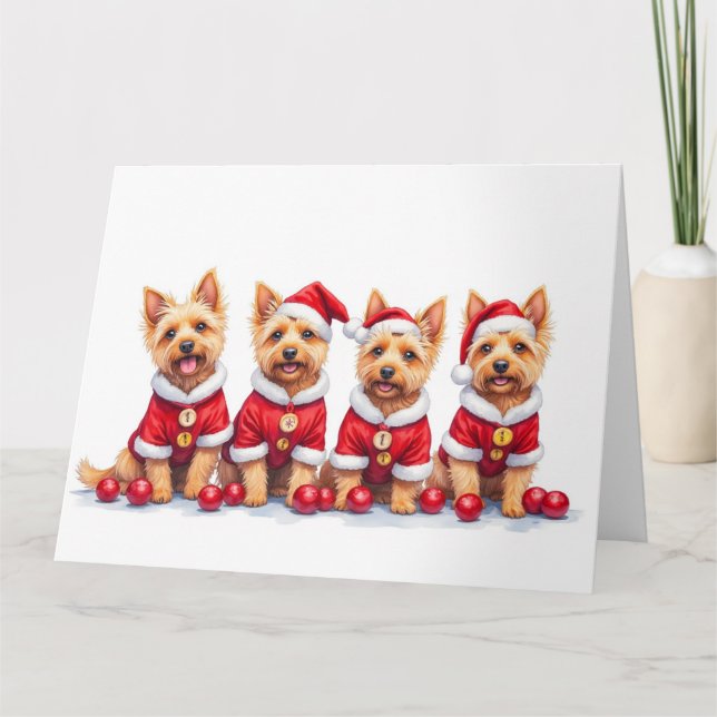 Tarjeta Cairn Terrier vestido de Navidad con sombrero de S (Anverso)
