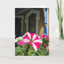 Caja de flores de primavera - Viñedo de Martha