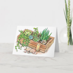 Tarjeta Caja suculenta del plantador
