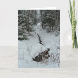 Tarjeta Cala Nevado