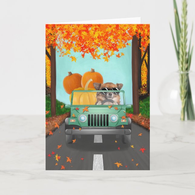 Tarjeta Calabaza de la caída del perro de Chihuahua (Anverso)