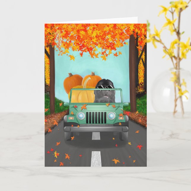 Tarjeta Calabaza de otoño en Terranova (flor amarilla)