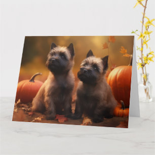 Tarjeta Calabaza deslumbrante de Cairn Terrier