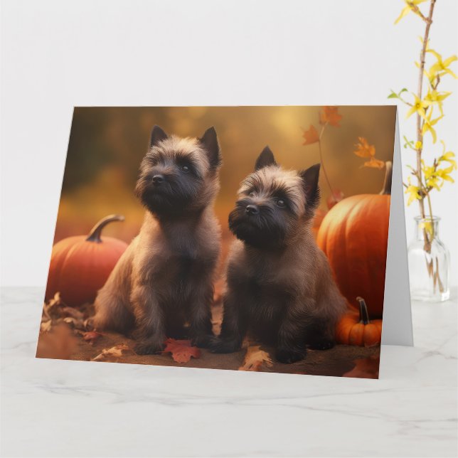 Tarjeta Calabaza deslumbrante de Cairn Terrier (flor amarilla)
