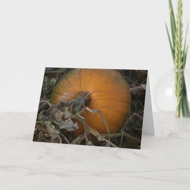 Tarjeta Calabaza en el campo (Anverso)