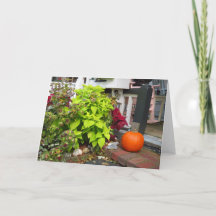 Calabaza y Coleus - Viñedo de Martha