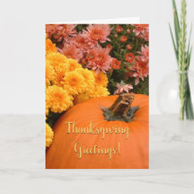 Calabaza Y Crisantemo / Acción de Gracias