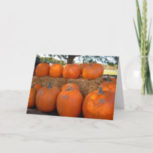 Tarjeta Calabazas