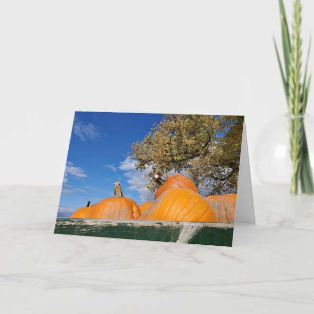 Tarjeta Calabazas (Anverso)