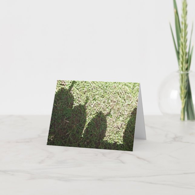 Tarjeta Calabazas de la sombra (Anverso)