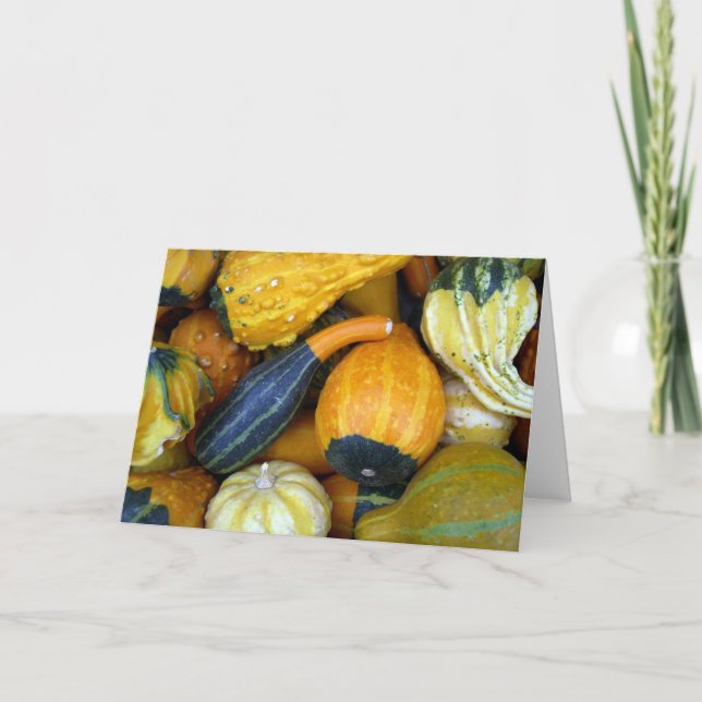 Tarjeta Calabazas del otoño (Anverso)