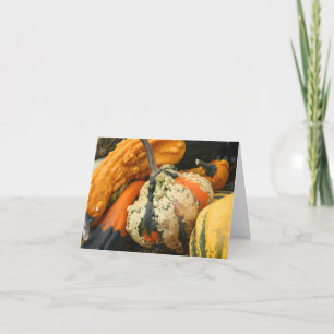 Tarjeta Calabazas Elegantes Fotografía De La Naturaleza No