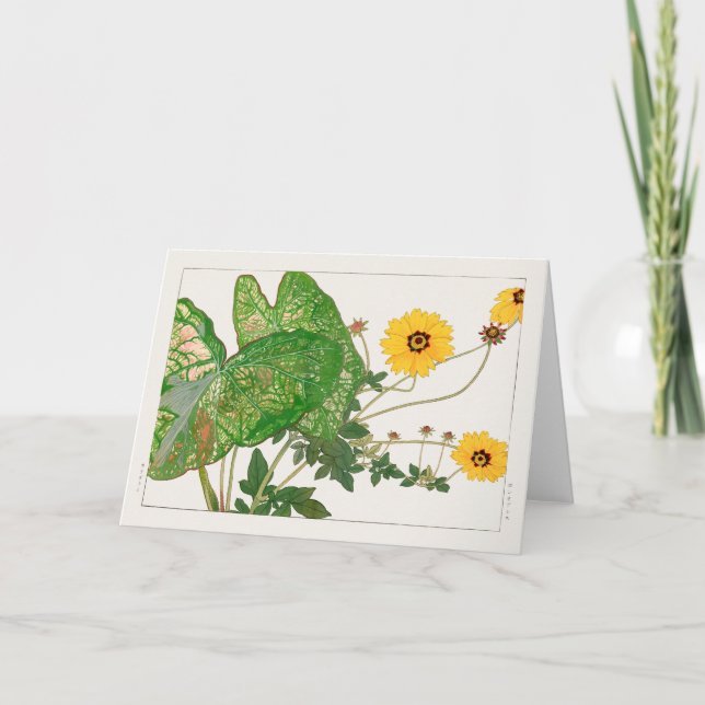 Tarjeta Caladio con hojas de aluminio, Coreopsis de Taniga (Anverso)