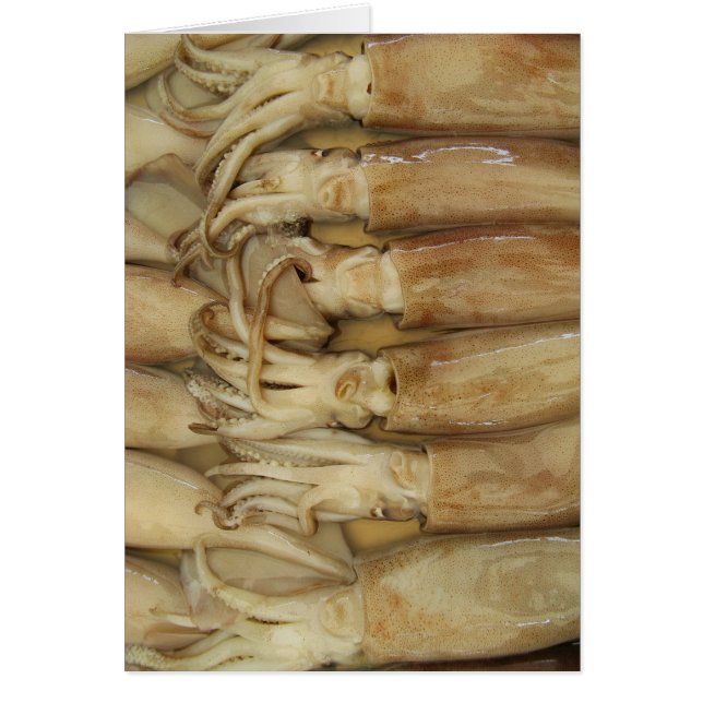 Tarjeta Calamari (Frente)