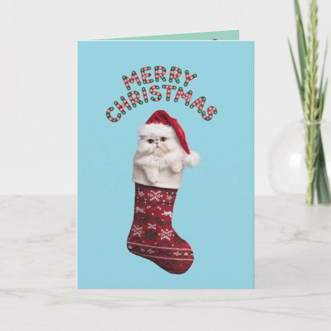 Tarjeta Calcetín de Navidad de Gatito Persa (Anverso)