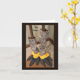 Tarjeta Calcetines humorísticos en un pollo