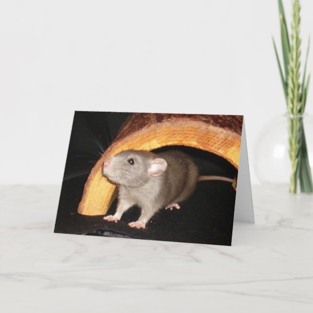 Tarjeta Caleb (Anverso)