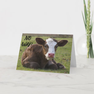 TARJETA CALF NO PUEDE CREER QUE SEA ***40** CUMPLEAÑOS