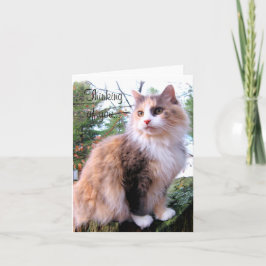 Tarjeta Calico Cat Personalizado Pensando En Usted