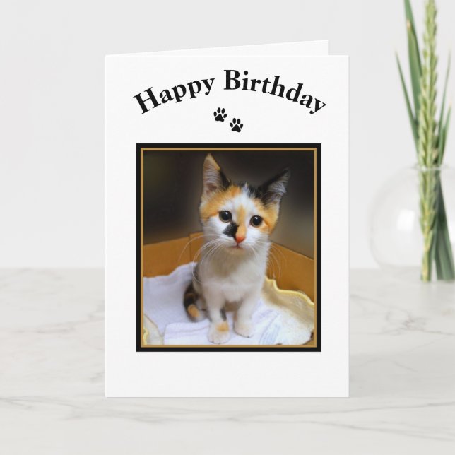 Tarjeta Calico Kitten Happy Birday (Anverso)