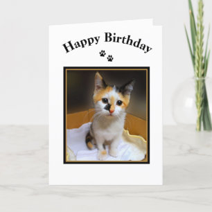 Tarjeta Calico Kitten Happy Birday