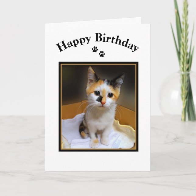 Tarjeta Calico Kitten Happy Birday (Anverso)