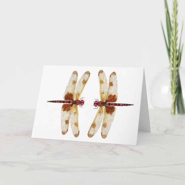 Tarjeta Calico Pennant Dragonflies (Anverso)