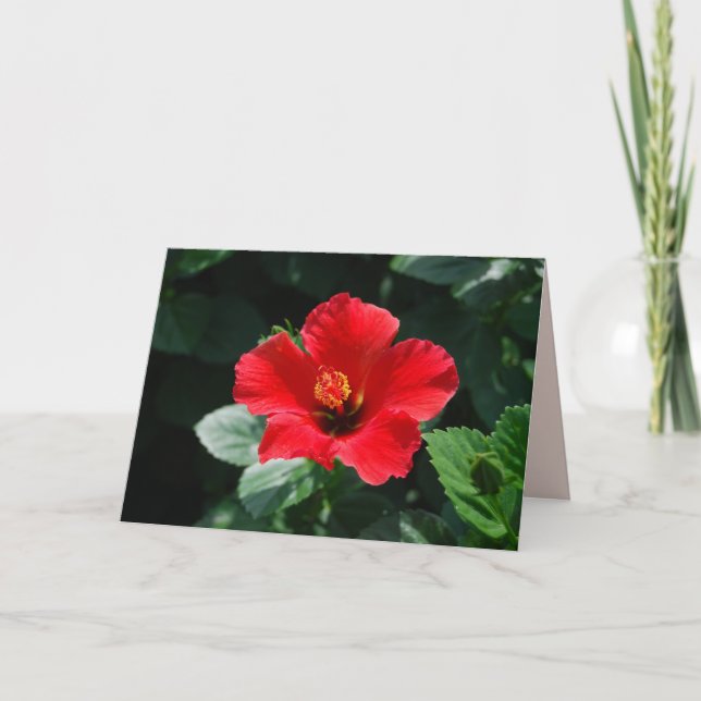 Tarjeta Caliente rojo Hibiscus Feliz cumpleaños (Anverso)