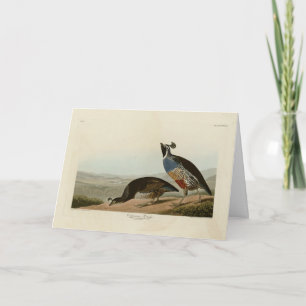 Tarjeta California Partridge - Los pájaros de los Estados