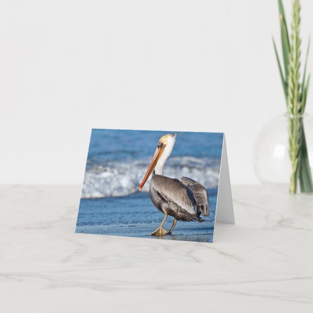 Tarjeta California Pelican en la playa (Anverso)