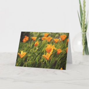 Tarjeta California Poppies 01