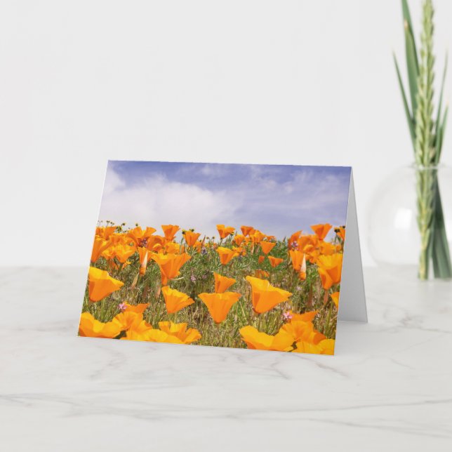Tarjeta California Poppies Landscape (Anverso)