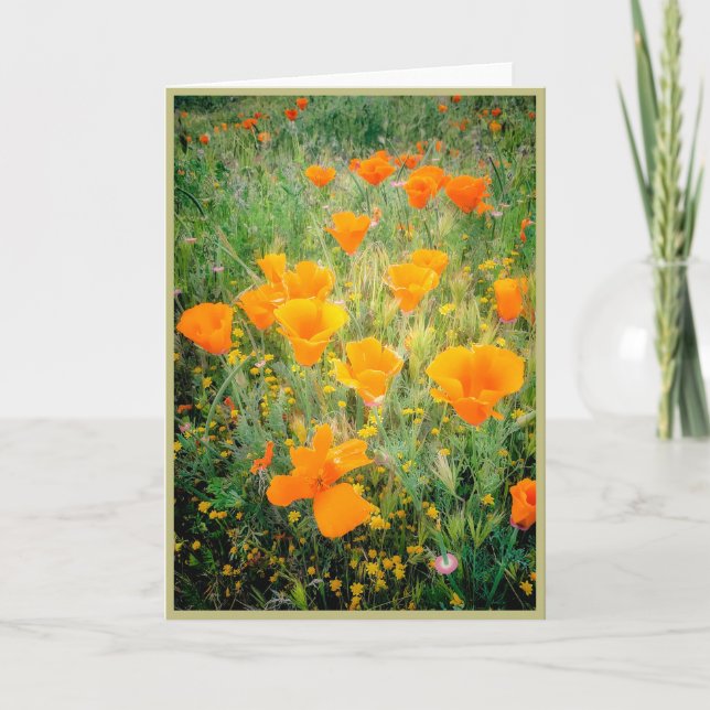 Tarjeta California Poppy (Anverso)