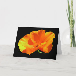 Tarjeta California Poppy Blank