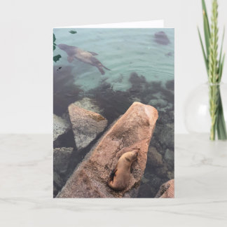 Tarjeta california sea life greeting card (blank inside)