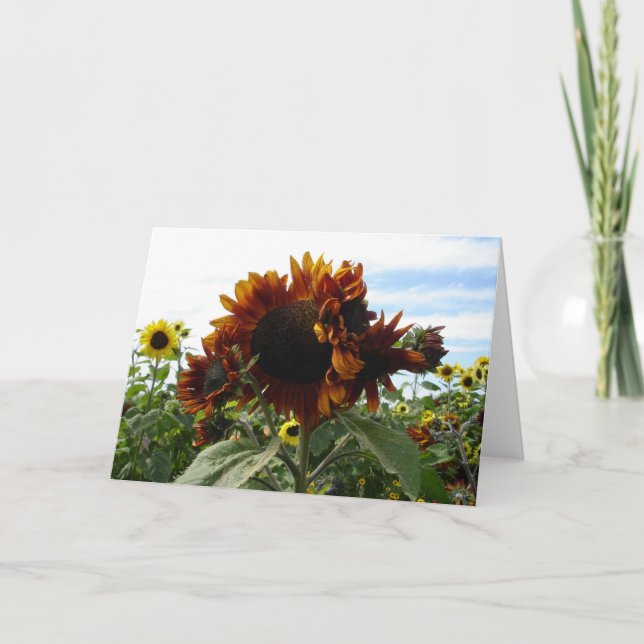 Tarjeta California Sunflowers (Anverso)
