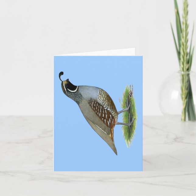Tarjeta California Valley Quail (Anverso)