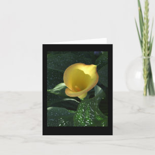 Tarjeta Calla amarilla Lily Blank Notecard