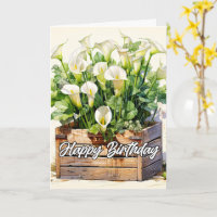 Calla Lilies, una flamante Calla