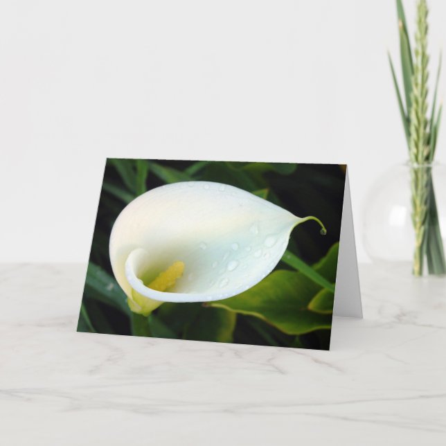 Tarjeta Calla Lily (Anverso)