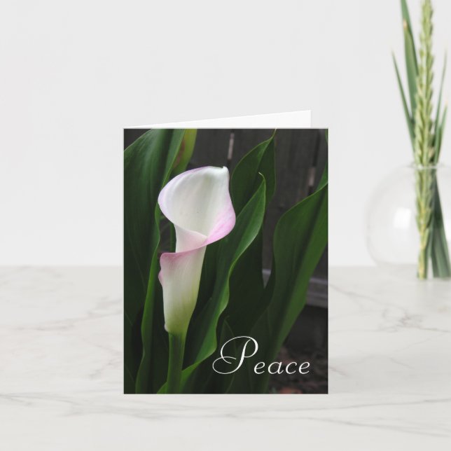 Tarjeta Calla Lily Note Cards (Anverso)