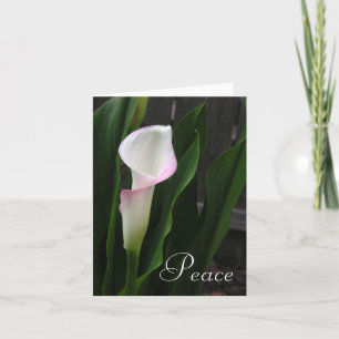 Tarjeta Calla Lily Note Cards