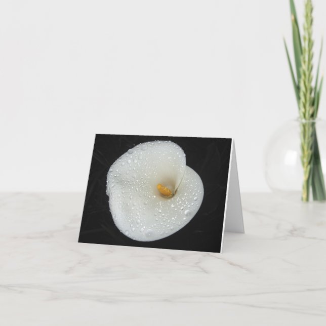 Tarjeta CallaLily después de una ducha NoteCard de la (Anverso)