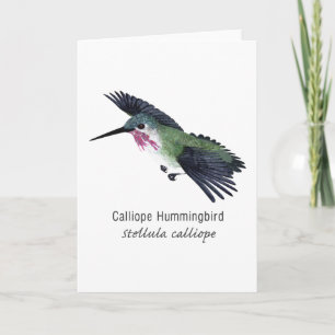 Tarjeta Calliope Hummingbird con nombre