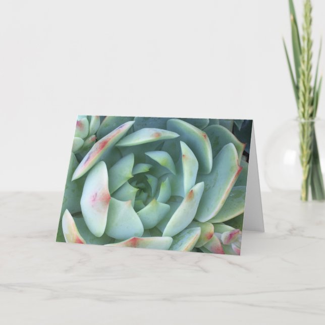 Tarjeta Calma (Anverso)